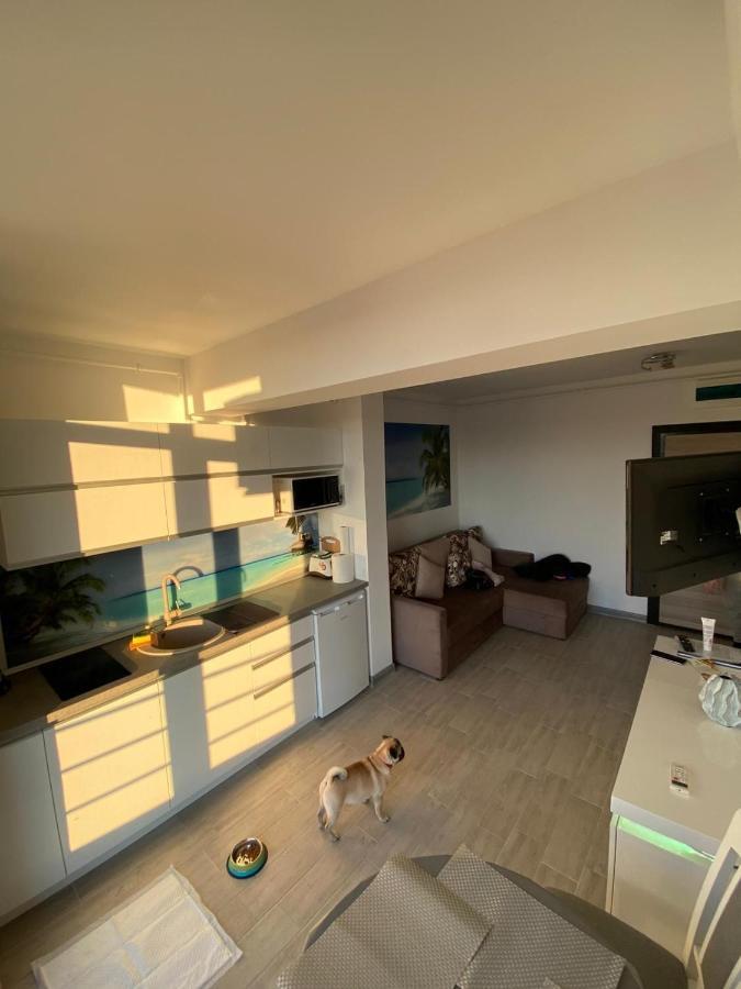Apartament Edu Beach Resort Năvodari Zewnętrze zdjęcie